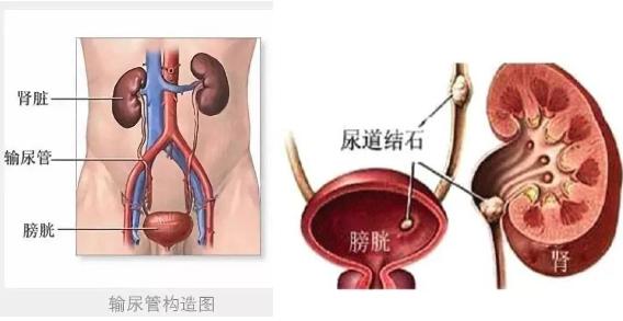 图片17.jpg